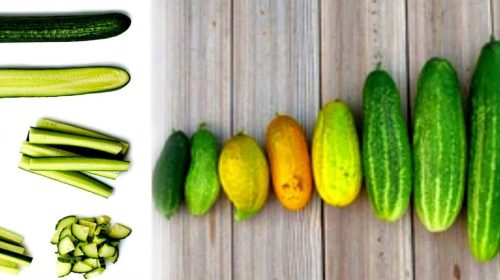 Is cucumber good for women?